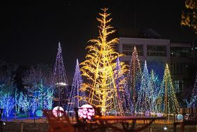 ���N���J�ÁI�����Ƃ҂��H�ԁuWinter Illumination 2025 -���@�̉Ԓ�-�v�̋L���T���l�C��