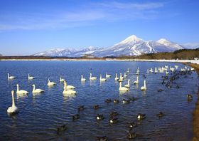 ő5,000~IuȂ킵hIv\tX^[g̋LTlC