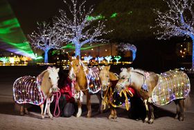 䋣nœ~GC~l[VuKC~2025-2026vJÂ̋LTlC