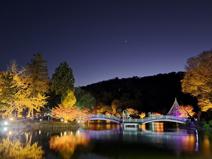 _CgtCgAbvɊIEcsuHV2025vJÒ̋LTlC