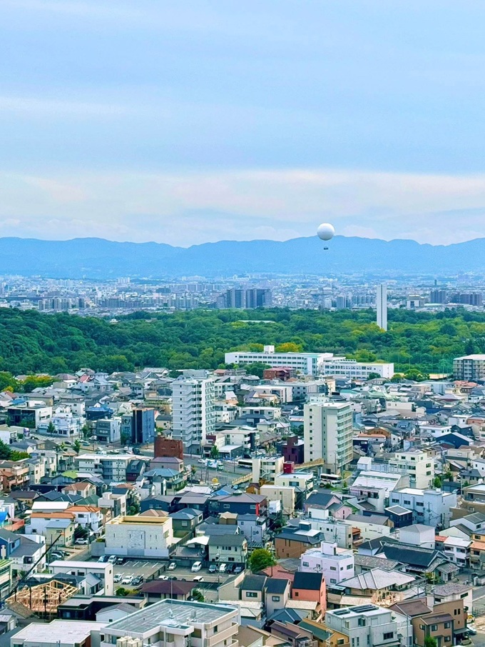 �ቺ�ɐ��E��Y�I���ɔz�������o���[���ɏ���ċ�̗���