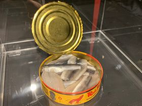 �����X�J�C�c���[(R)�Łu�ɂ����W�v�J�ÁI12��11���X�^�[�g�̋L���T���l�C��