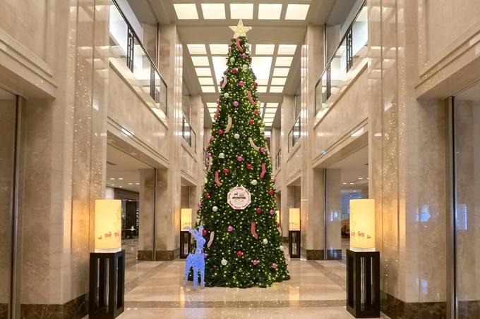 ��̂Ђ�T�C�Y�̃J�v�Z���g�C���o��I