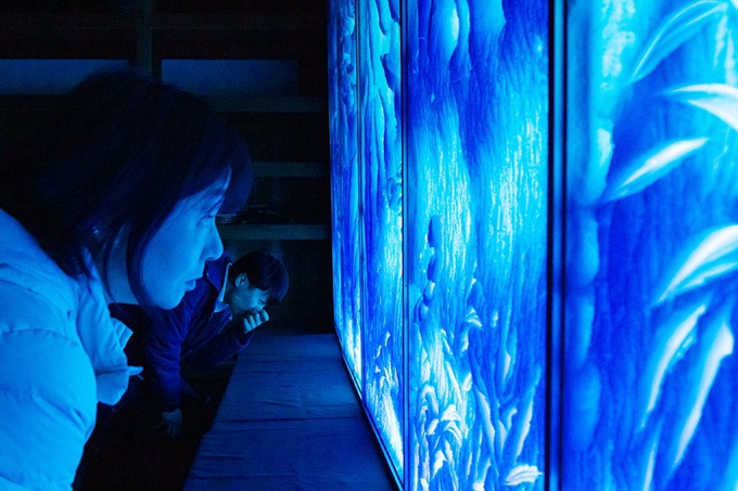 ���{�ő�̑T���Ń��C�g�A�b�v�I������̐V����o��