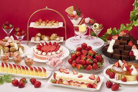 �{��䕂𖞋i�I�鍑�z�e�� ����䕃X�C�[�c�o�C�L���O���A�t�^�k�[���e�B�[�J�Â̋L���T���l�C��