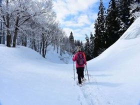 ��ʂ̋␢�E�ցI�����s�������ߓ~�̃X�m�[�A�N�e�B�r�e�B3�I