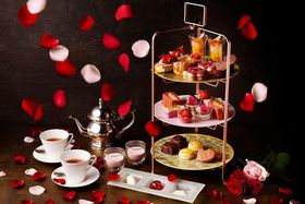 �t�����I�V�����O���E�� �����u�o�����^�C���A�t�^�k�[���e�B�[�v�̋L���T���l�C��