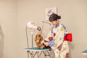 �֓����o�X�I�u��]�ˉ��򕨌����񃊃]�[�g �ߐ{�����v2026�N3���I�[�v���̋L���T���l�C��