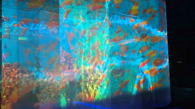 �R���e���c��3��ށI�C����Ԃ�̌����悤