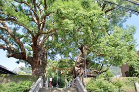 �u2026�N�ɍs���ׂ�52�����v�͒���Ɖ���I�j���[���[�N�E�^�C���Y�����\�̋L���T���l�C��