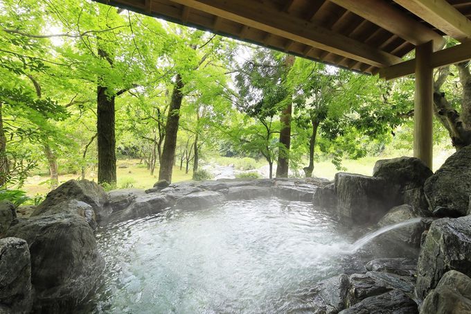 ��l���ɂ������߁I�ɏ�́g�ƂƂ̂��h�̌���