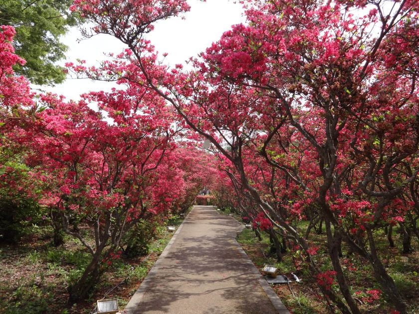 ���̃g���l���������낤�I�t�̂��o�����ɂ������߂̃X�|�b�g