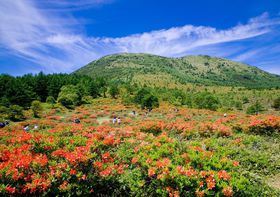 6��5�����瓒�̊ۍ��������Q�c�c�W�Q���Łu���̊ۍ������Ձv�J�ÁI�̋L���T���l�C��