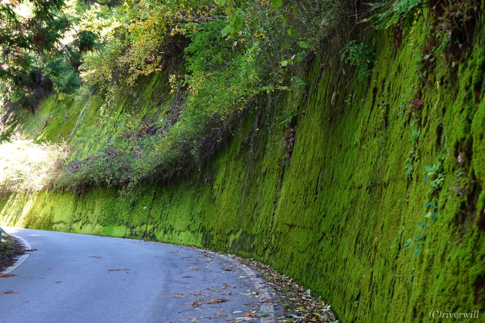 I̗獑152ɏo܂ł̓̂y