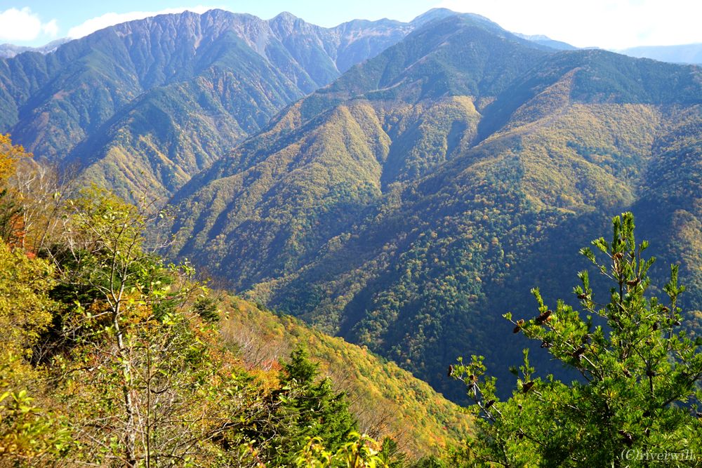 AvXGR[CłтƓAvX̍gt𖞋iI