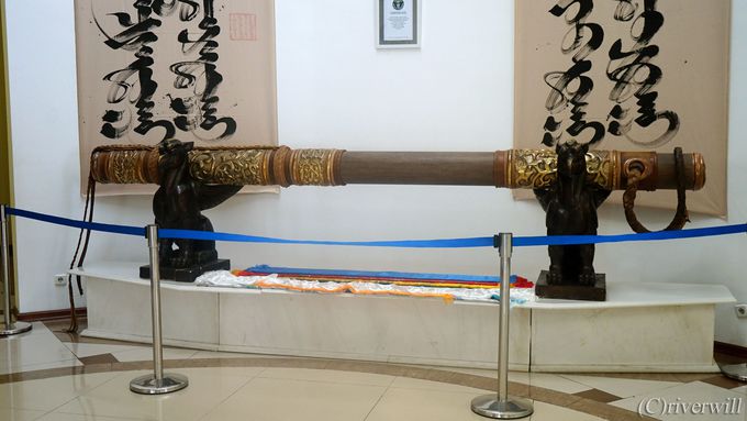 ギネス世界一のモンゴル式伝統ブーツと伝説の黄金のムチ