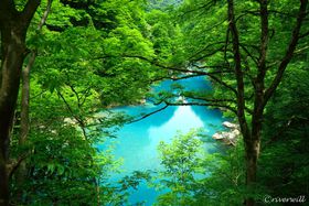 Ăɂ͓VRN[[IHcuԂkJvŗnCLŐLTlC