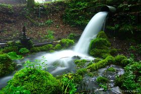 ^ėHu^_Ёv͓ŋp[X|bg̋LTlC