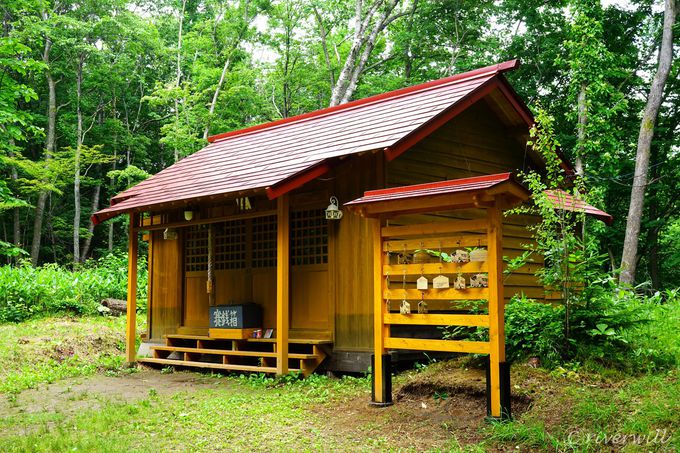 運が向こうからやって来る 来運神社 は道東最強パワースポット 北海道 Lineトラベルjp 旅行ガイド