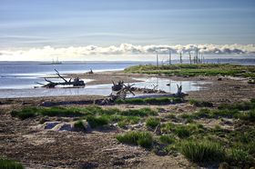 ̐̉ʂāHI䂭kCtgh䂭̋LTlC