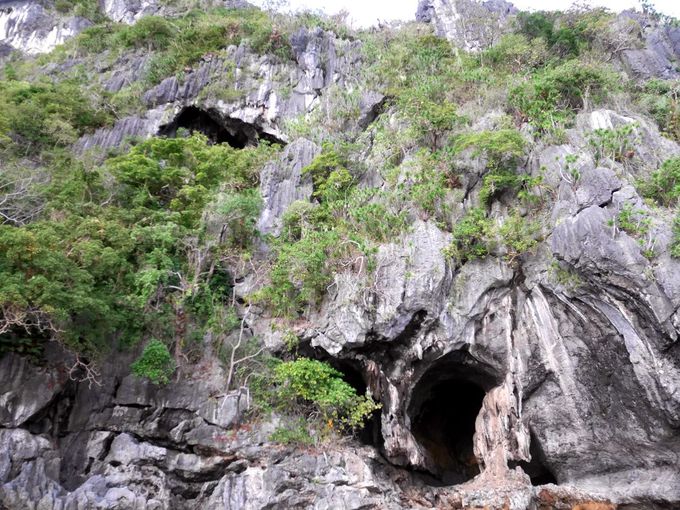 アプリット島ならではの洞窟探検クルーズ