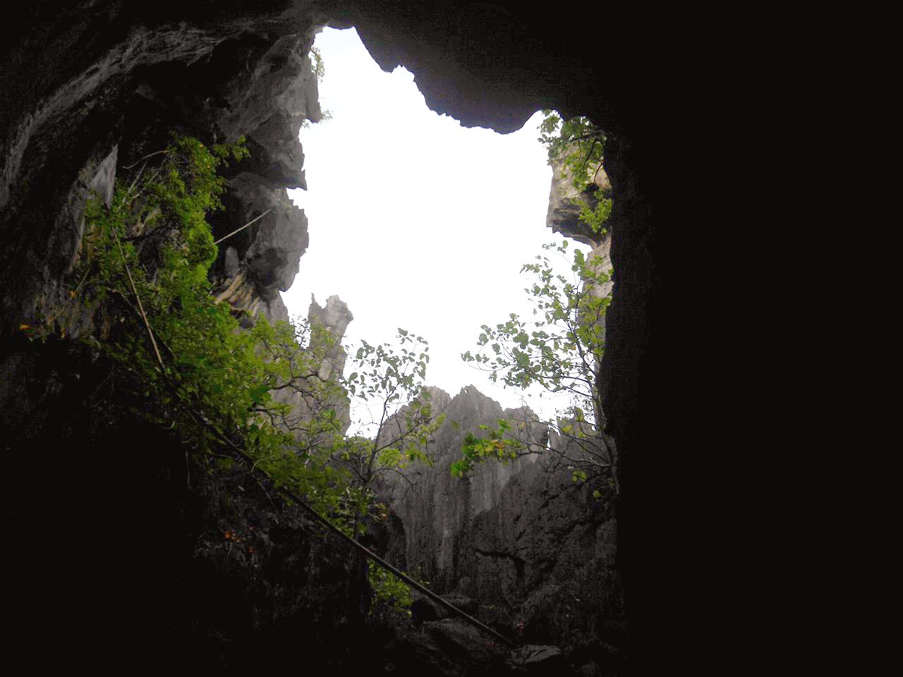 アプリット島ならではの洞窟探検クルーズ
