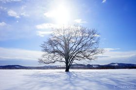 kCL̃WG[Inj̖؂Eyes to me̋LTlC