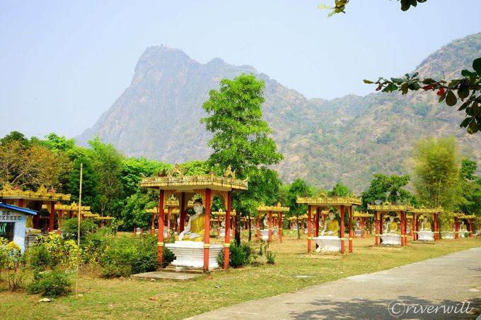 �n���Ɉ�����鐹�Ȃ�R�E�d�E�F�J�r���R