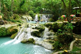 tBsE_oI̓A胊][gIT}[Ŗ`C̋LTlC