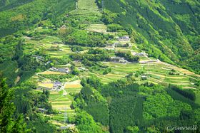 {̔鋫ɐl̒IcIuŗtv͕Ɨl`̉Bꗢ̋LTlC