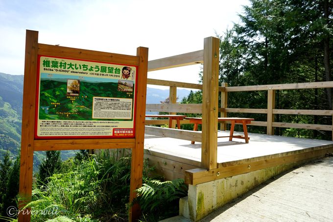 uŗt̃}`s`vI{茧ŗt̐l̒Ic