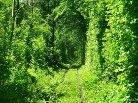 ウクライナの絶景「愛のトンネル」〜緑に包まれた恋人たちの聖地