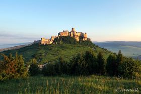 V̏XsVIWut@K̃XoLAÏ̋LTlC