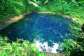 ٔ\`IHc琢EY܂Ŗkk23fR[X̋LTlC