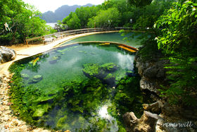 CȂItBs̔鋫R̂ߊόX|bg̋LTlC