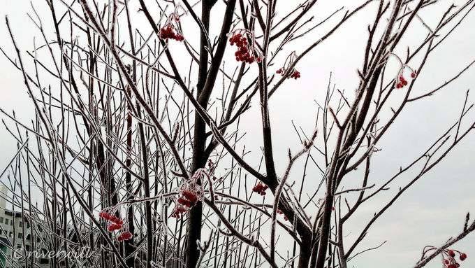 ΂ł͖X_Ch_Xgӏ܂łI