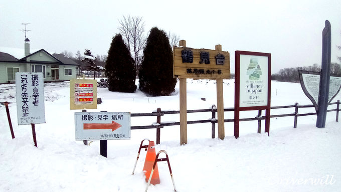 �^���`���E���a�̑������́u�ߌ���v