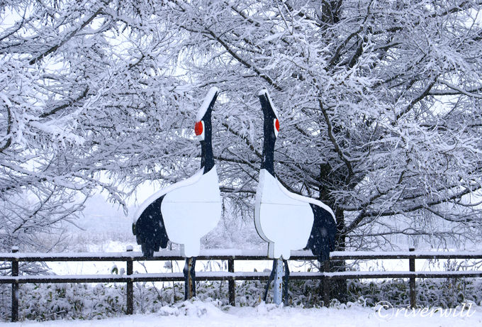 �^���`���E�̃T���N�`���A���u�ߋ����v�Ƃ�