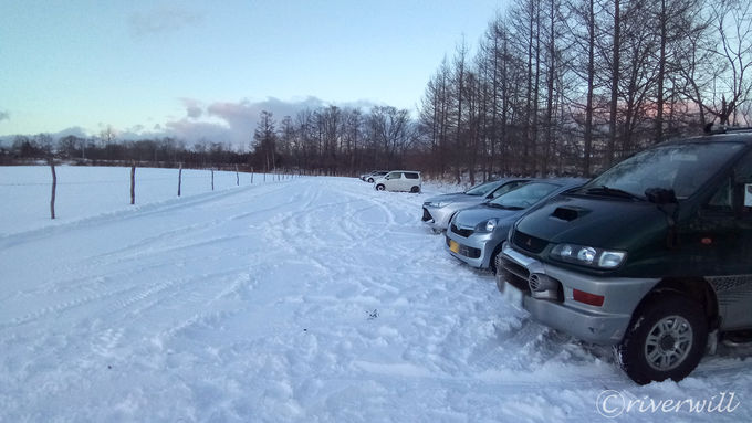 �[���̃^���`���E�V���G�b�g���������u�e�r�_��v