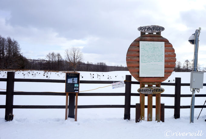 ��勋�a��̈�u�ߋ��E�ɓ��^���`���E�T���N�`���A���v