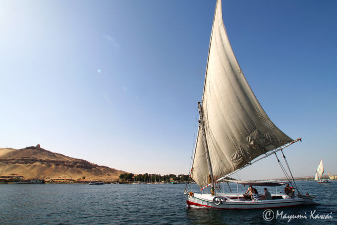 異国情緒たっぷり！ヌビア伝統の帆船「ファルーカ」