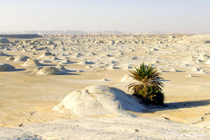 エジプトの秘境！オアシスの果てに広がる白砂漠