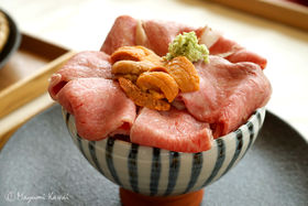 ӂYI|yủwEŶӂ邳Ɓv̋LTlC