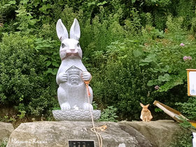 ETMωŗ쌱炽Hn̒J̓L[gȃETM̋LTlC