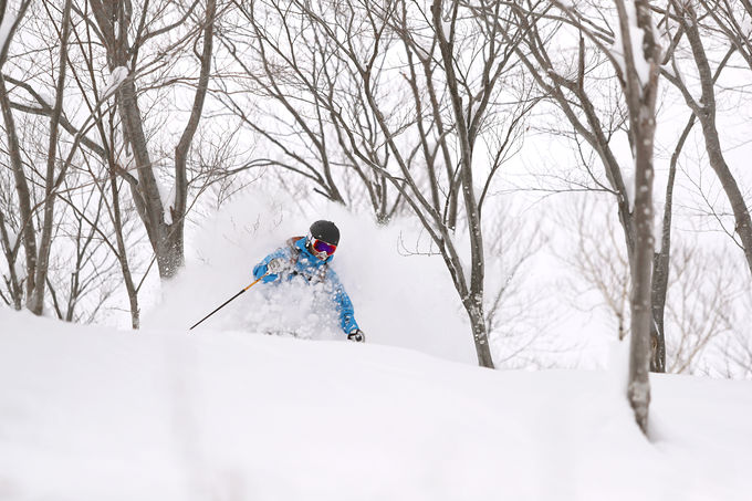 ō̃Qfŋɏ̃pE_[Xm[𖞋iI