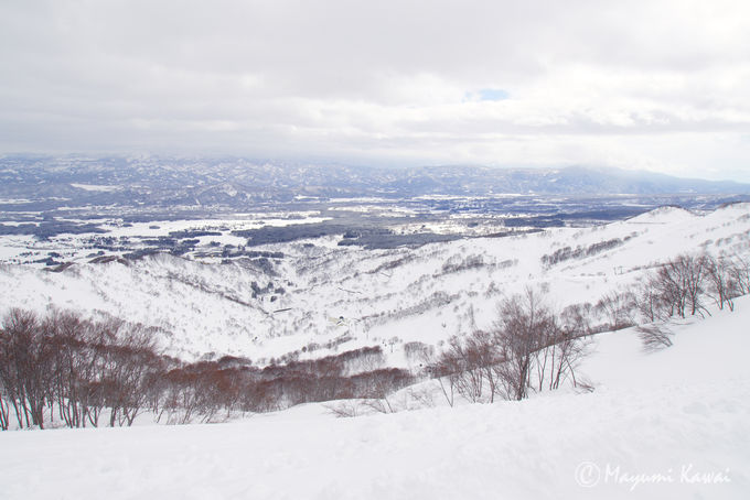 ō̃Qfŋɏ̃pE_[Xm[𖞋iI