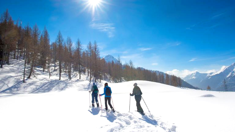 Ȃǐ͍DIȕɂ߂̃ANeBreB