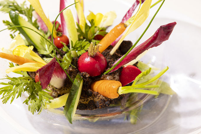 uUEvXM[ I䒬v񋟂gnɂ₳hAt^k[eB[Ƃ