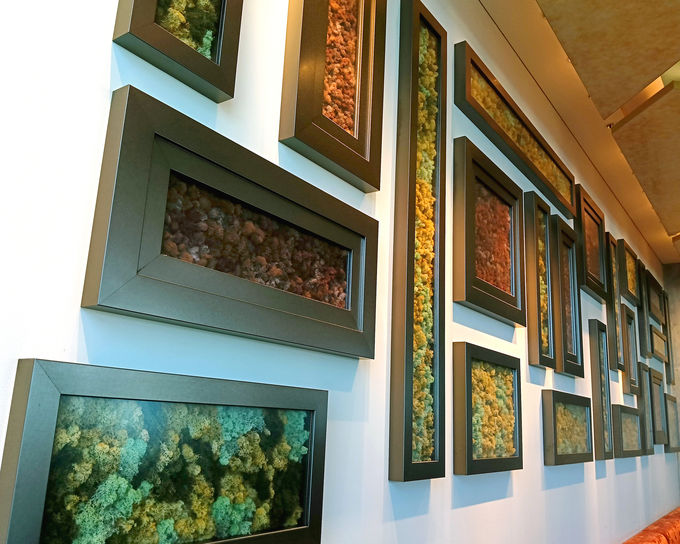 vgx[XAt^k[eB[́uAll-Day Dining OASIS GARDENv