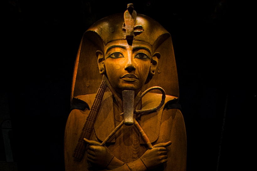 ꐶɈx̑̌IuZX剤Wv̒ڂׂǂ